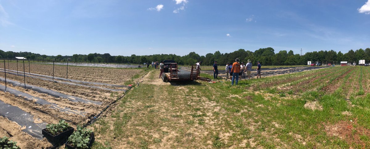gothrivenc's tweet photo. “Inter-Faith is a food bank by definition - what sets us apart is 35% of what people receive is fresh produce. We partner with the farmers market and get produce that would otherwise go to waste.”
#GoThriveNC | #ServiceSeries 
@BlueCrossNC | @FoodShuttle https://t.co/5lMl8NZXDm