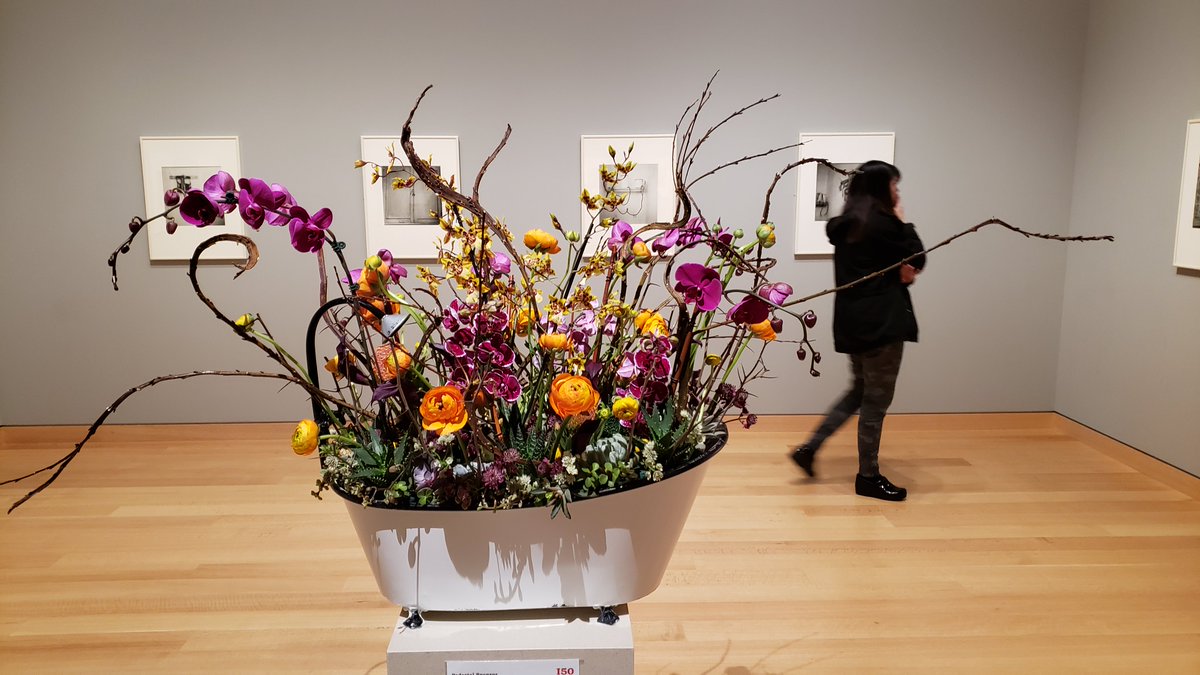 MichaelNir's tweet photo. #ArtInBloom at the @mfaboston #MFAInBloom  Frida Kahlo taking a shower https://t.co/0Y4Te2arSd