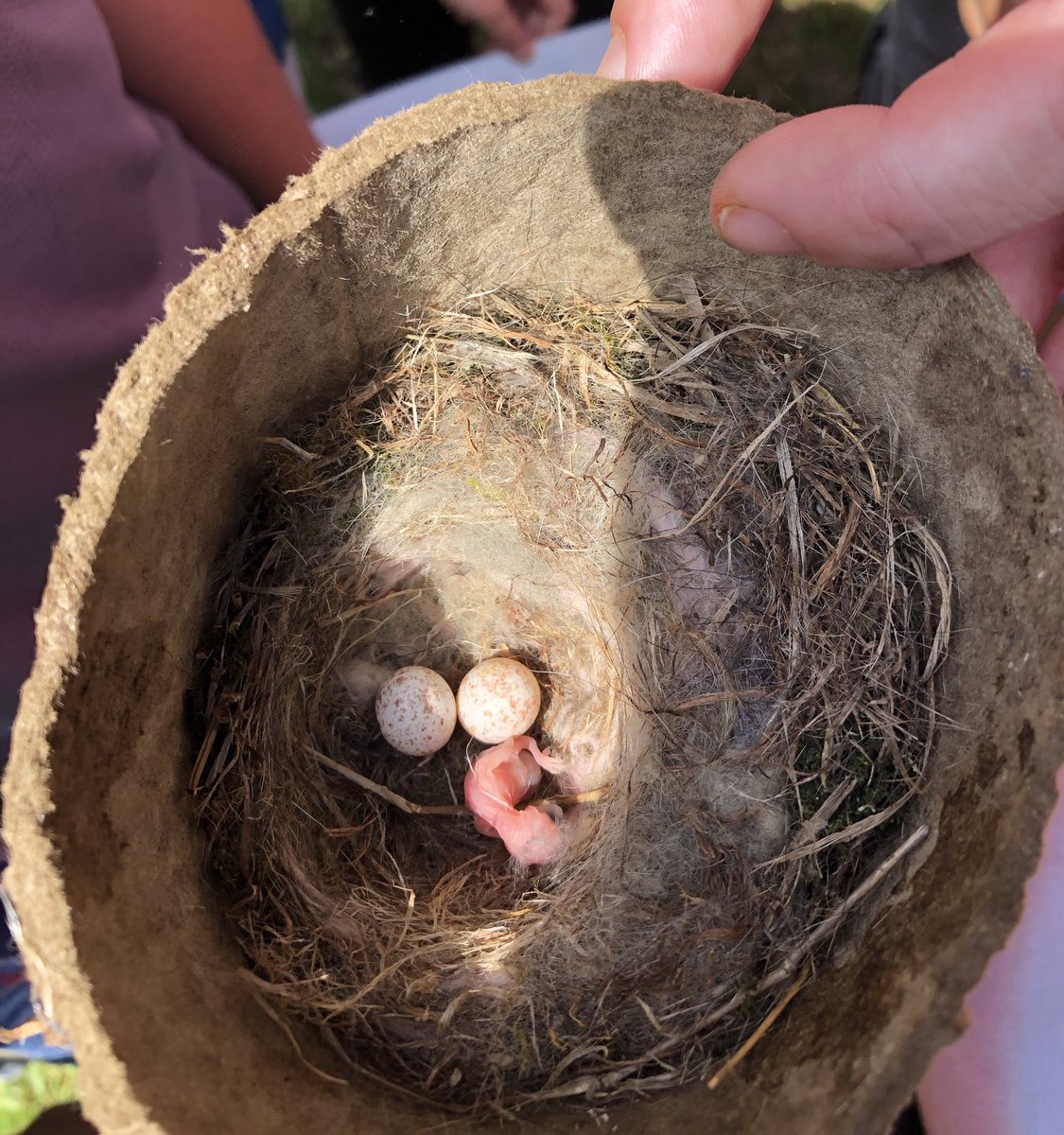 amymarlotabor's tweet photo. Tabor Owls 🦉 were investing and observing birds, their habitats, movements, and fledglings with the assistance of Ms. Wright.#FirstgradeFireflie@BallentineElementary https://t.co/Rvtw3YcSbc
