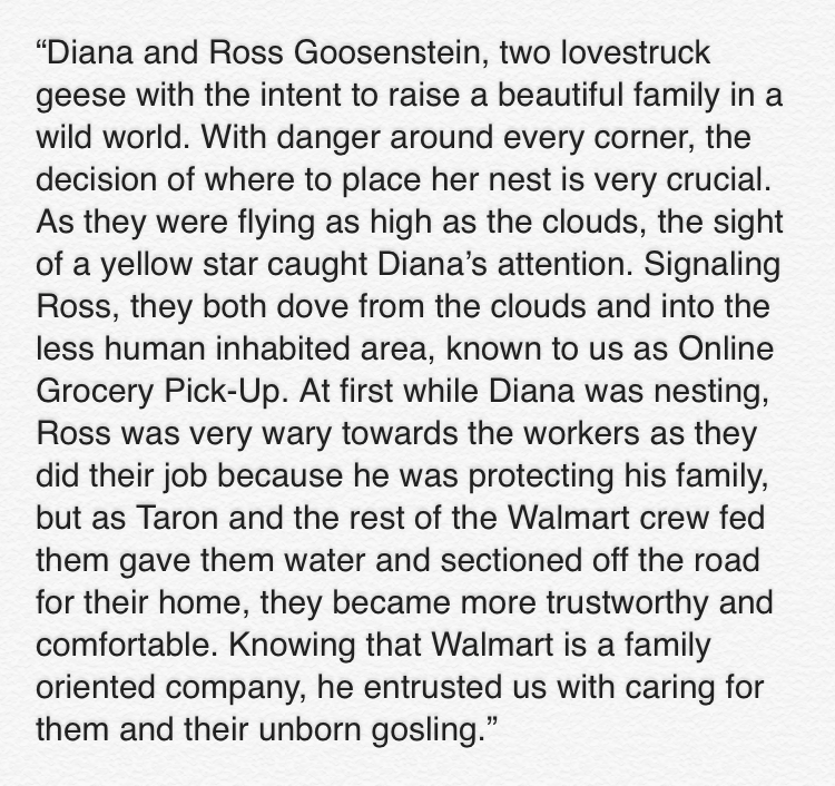 Oh. My. Geese. The team at Store #2108 in Mays Landing is on goose watch 👀 Two birds of a feather decided the parking lot was a perfect place to grow some goslings. Taron, an associate at the New Jersey store, tells the tale best. It’ll give you goosebumps ⬇️