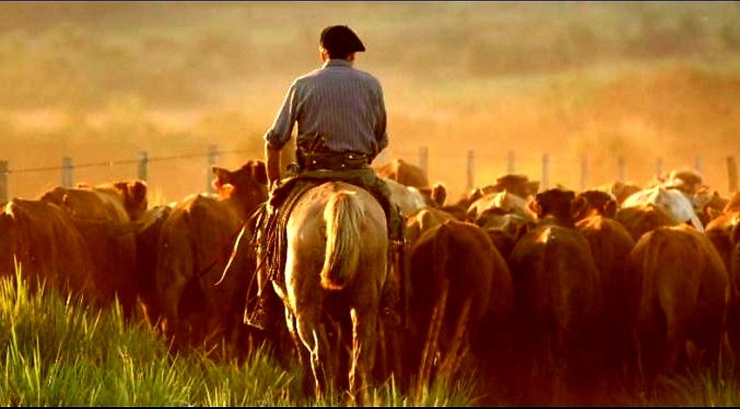 Marcelo Umpierrez on Twitter: "🇺🇾 Feliz Día del Trabajador Rural!!! Un abrazo enorme para todos quienes sustentan desde tierra adentro con su labor, uno de los pilares de nuestra economía. El Día