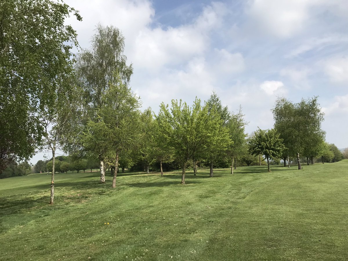 MarkSim93794378's tweet photo. Rough unmanaged area between 11 and 15 cleared, cut and collected
#roughmanagement #tidy #alwaysimproving @KingsdownGC https://t.co/4HfGDanoIX