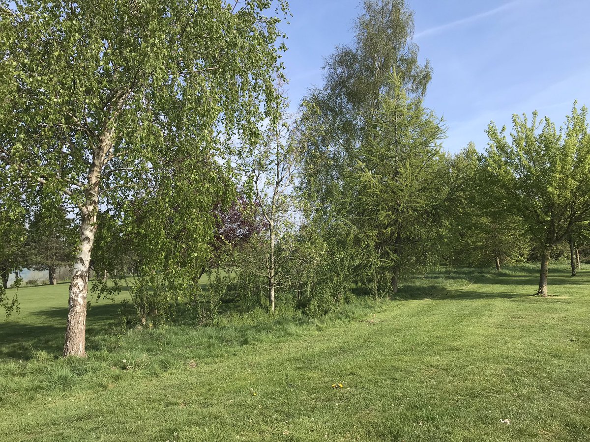 MarkSim93794378's tweet photo. Rough unmanaged area between 11 and 15 cleared, cut and collected
#roughmanagement #tidy #alwaysimproving @KingsdownGC https://t.co/4HfGDanoIX