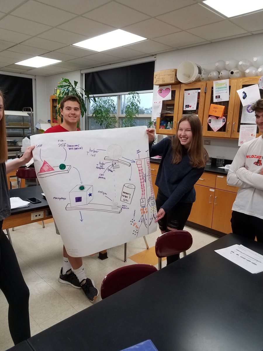 LhsDawson's tweet photo. Ms. Brady's APBio students are explaining their Rube Goldberg designs to illustrate the human immune response.   Great work! #d128daring https://t.co/DEpU6ozjeL