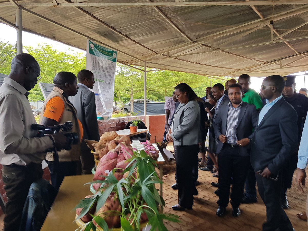 RwandaAgriBoard's tweet photo. Now: the inauguration of #CARAVANProject in collaboration with OCP Foundation, for sustainable agricultural devpt in Rwanda, under the bilateral cooperation between the Kingdom of Morocco and thr Government of Rwanda @RwandaAgri @RwandaMFA @RwandaLocalGov @Gasabo_District https://t.co/JUGyWJG5Jh