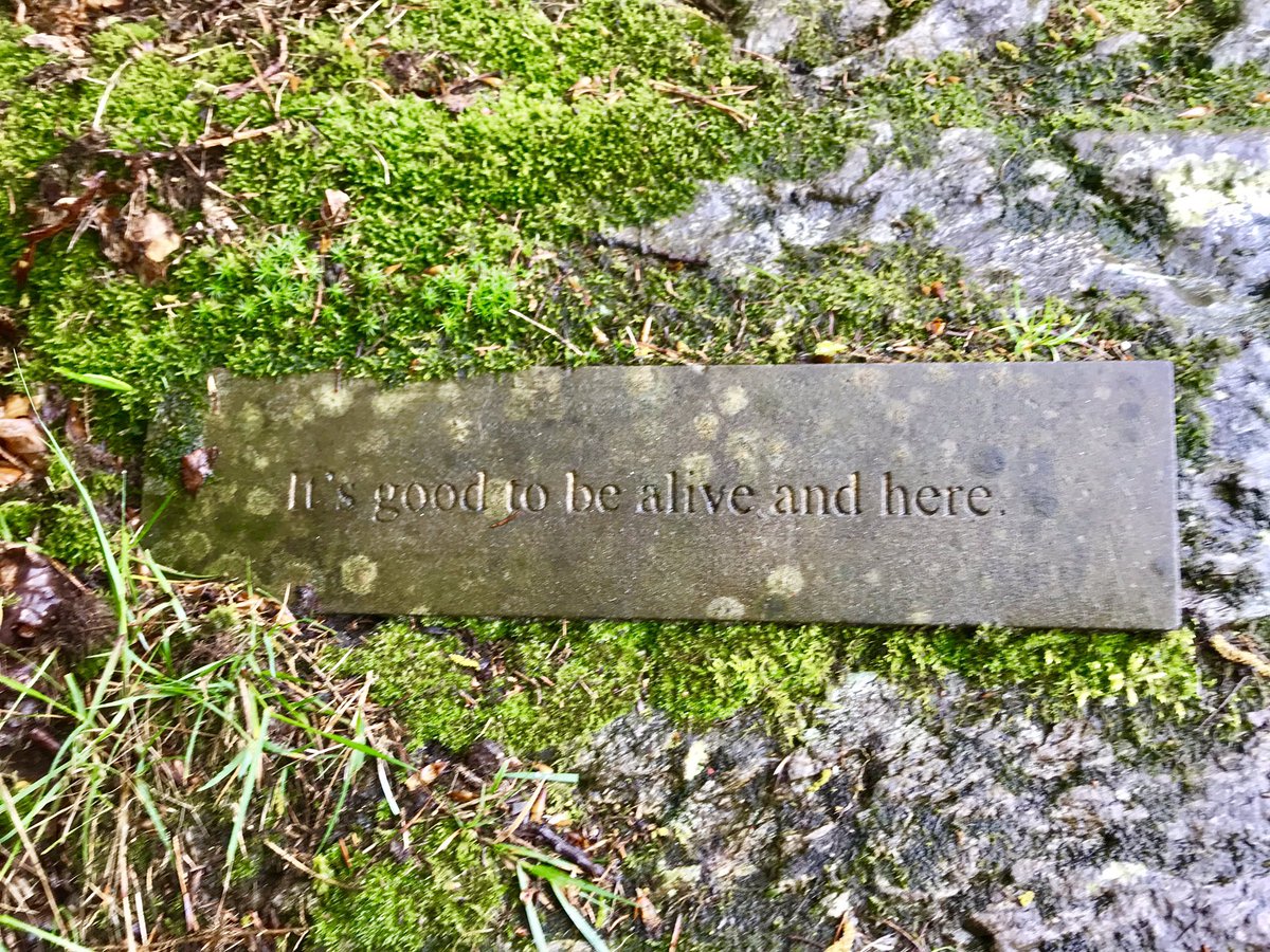 irelandtourguide tweet media