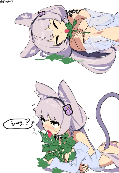 캣닢페로낙서 