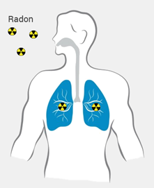 Le radon est un gaz nocif pour votre santé et celle de vos poumons.