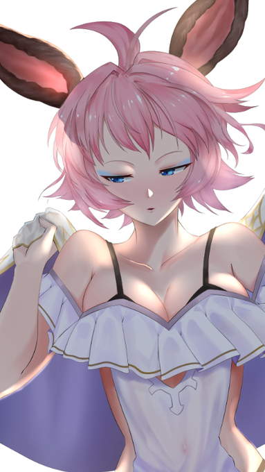 平成の間に終わりそうにないのでエッセル供養しておく 