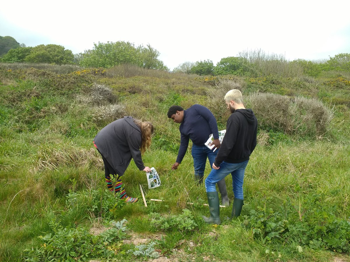 RorroDew's tweet image. @UoPBioSchool @UOPStudents @uopalumni @uopresearch Biology nstudents are now working on their projects looking at invertebrate ecology, shingle dunes species and measuring the impact of storms in communities #uopslapton #fieldworkisfun
