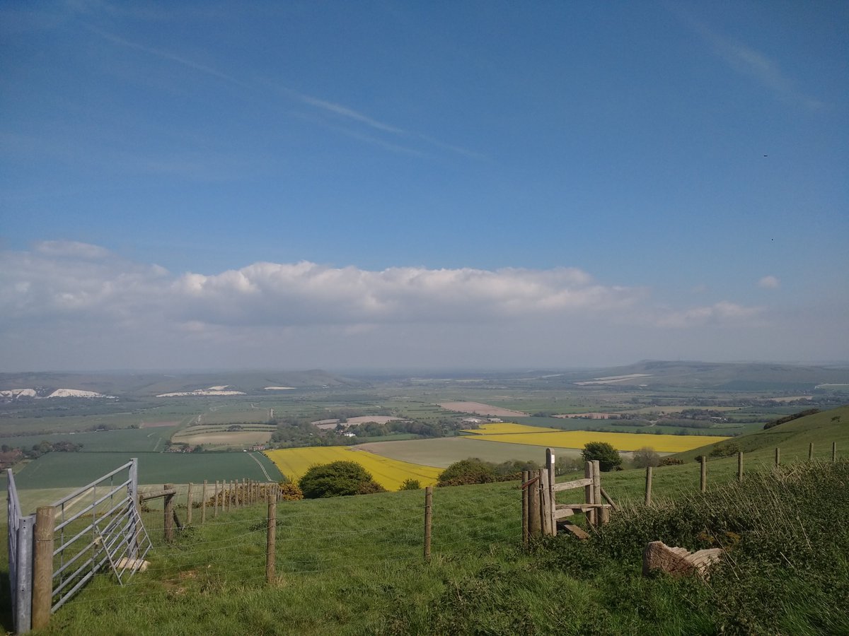 learntthings's tweet image. A lovely cycle ride on the South Downs @sdnpa @SouthDownsTrust @SouthDownsWayNT @SDCA_Lewes #cycling #countryside @BrightonHoveCC #landscapephotography #landscape #nature #NaturePhotography #naturelovers