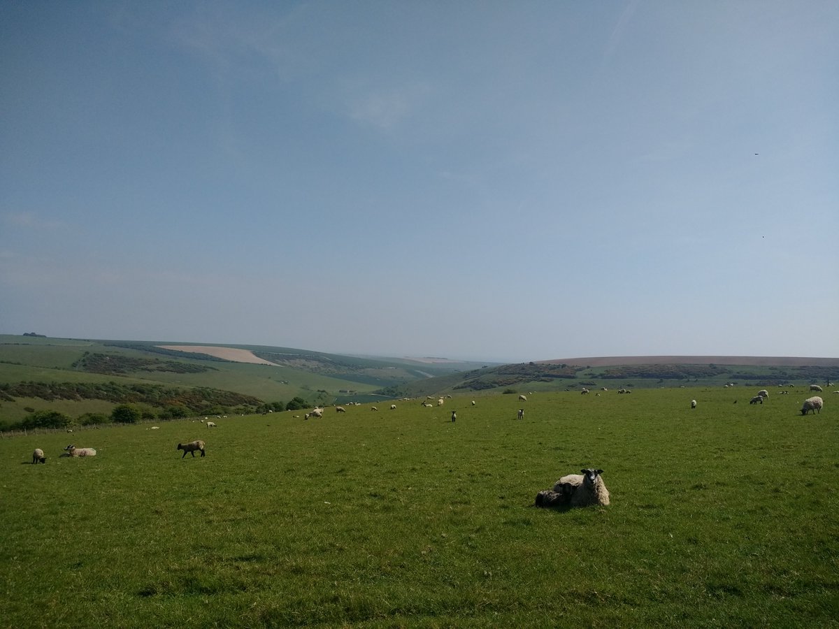 learntthings's tweet image. A lovely cycle ride on the South Downs @sdnpa @SouthDownsTrust @SouthDownsWayNT @SDCA_Lewes #cycling #countryside @BrightonHoveCC #landscapephotography #landscape #nature #NaturePhotography #naturelovers