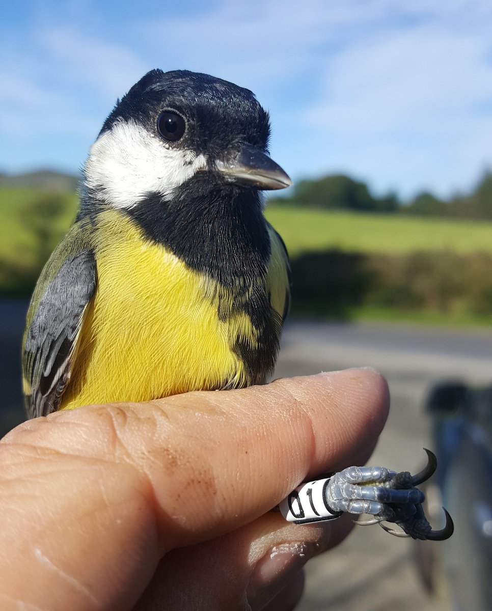 Evo Eco Cognition tweet media