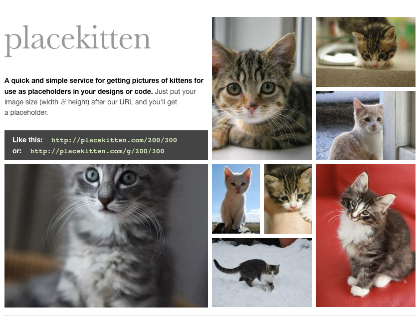 simonvomeyser's tweet photo. haha the three best placeholder images for #wevdevelopers I found (until now) are
3: Cage em https://t.co/86PpoCLkLL
2. Kittens because kittens! https://t.co/7Y5ErOFCri
1. aand because of the worst/best domain name: https://t.co/Rd42puHpIK
Any recommendations? π https://t.co/8CokHPBW3T