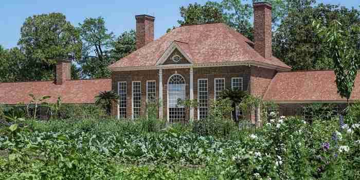 ThinkTankExile's tweet image. Legal Hemp Is Being Planted at George Washington's Historic Estate for the First Time in 200 Years 

Our nation's first president was also the first and most famous advocate of hemp. w33d.us/dammow09