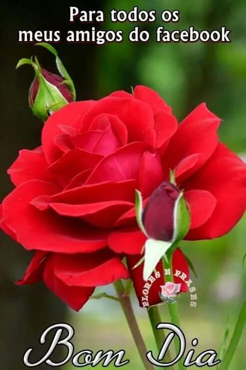 ClebioCostaDaS5's tweet photo. Bom dia Deus abençoe. https://t.co/M6bYThahFV