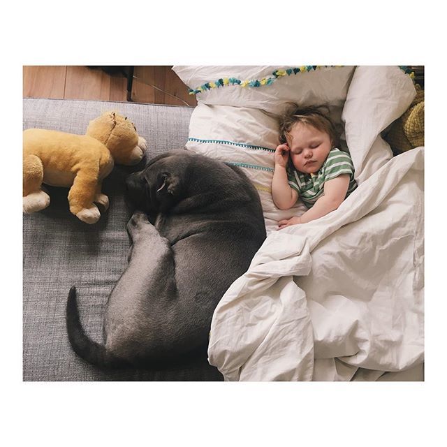 everythingakin's tweet image. again with the tuesday afternoons 💘 bit.ly/2VEcPF3