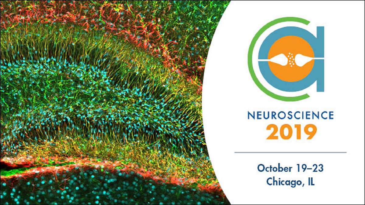 SfNtweets's tweet photo. The #SfN19 abstract submission website is back up and running. Thank you for your patience! Abstract submission closes this Thursday, May 2, at 5 p.m. EDT: https://t.co/96iBvOUx2C https://t.co/qZoWsV9JaA