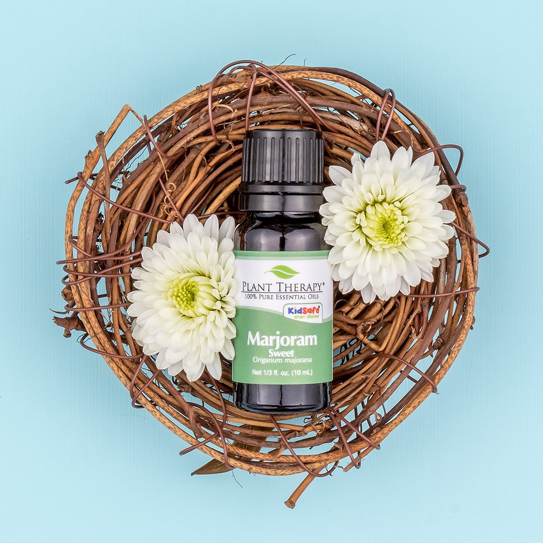 PlantTherapy's tweet photo. Last chance to save 15% on Marjoram Sweet. This versatile oil is herbaceous and has many benefits for relaxation, seasonal illnesses, and sore muscles! Use code SPOTLIGHT44 to save! #spotlightoiloftheweek #essentialoils
Shop now: https://t.co/KF4rpQFr8s https://t.co/Hnhk9RedqW
