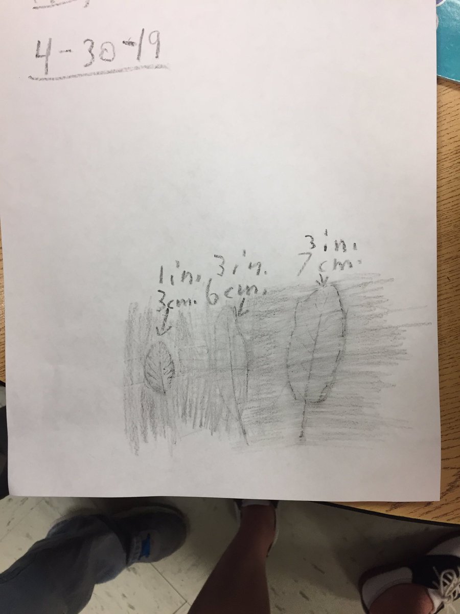 HeyItsMissW's tweet photo. What we hear: 
“I’m not good at math.” 

How we should teach them to think/speak:💪🏼💪🏼
“I can learn this if I try my best and work hard.” https://t.co/KuYtqlYE4y