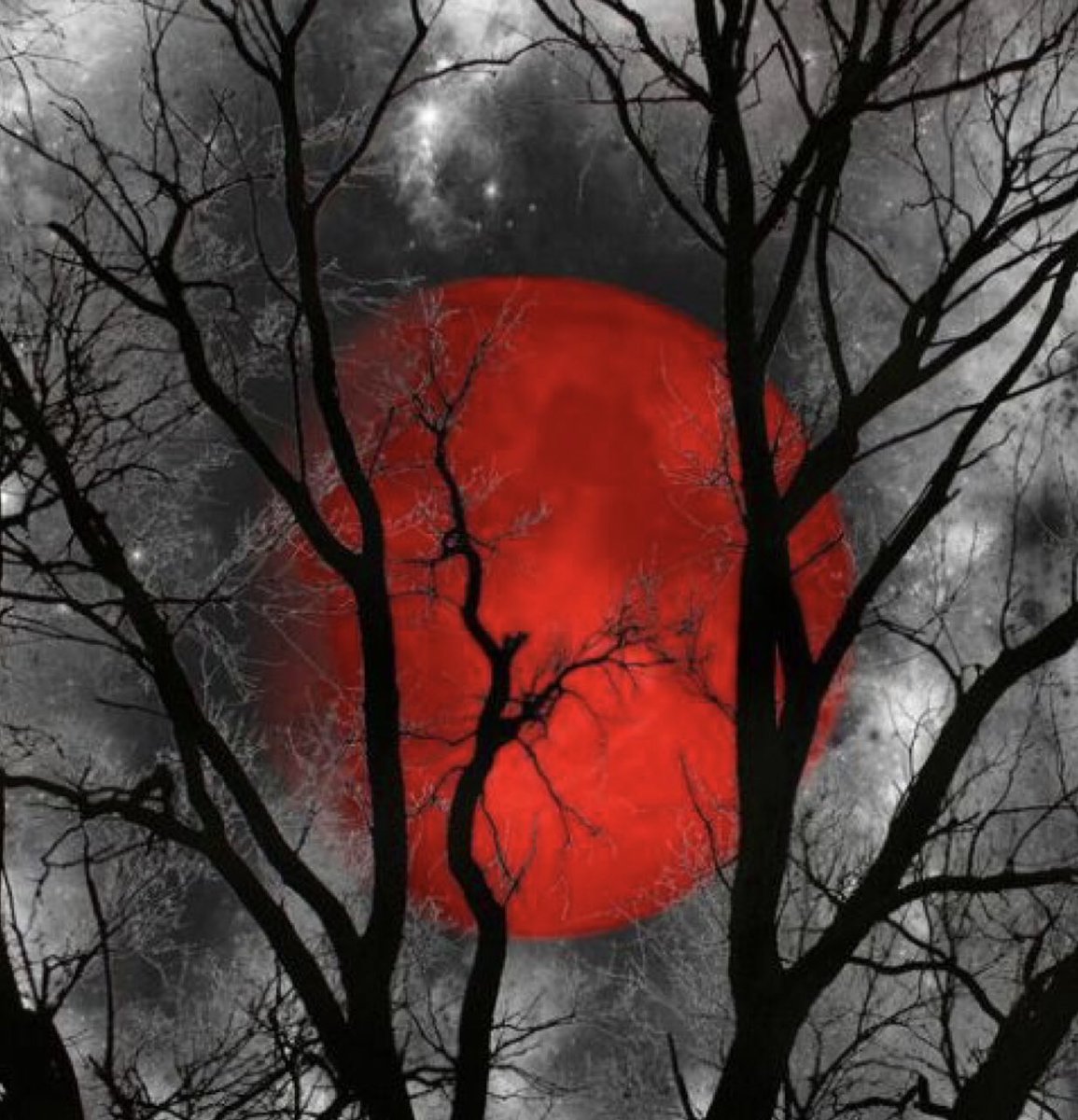 jenlowrywrites's tweet photo. “Never look back unless you are planning to go that way” - Henry David Thoreau #newplan #newday #goals #faith #iamwriting #iwriteya #iwritehorror #iwriteparanormal #horror #paranormal #thehartwellchronicles2019 #teenageexorcist #yabooks https://t.co/Y3AHNjdDbx