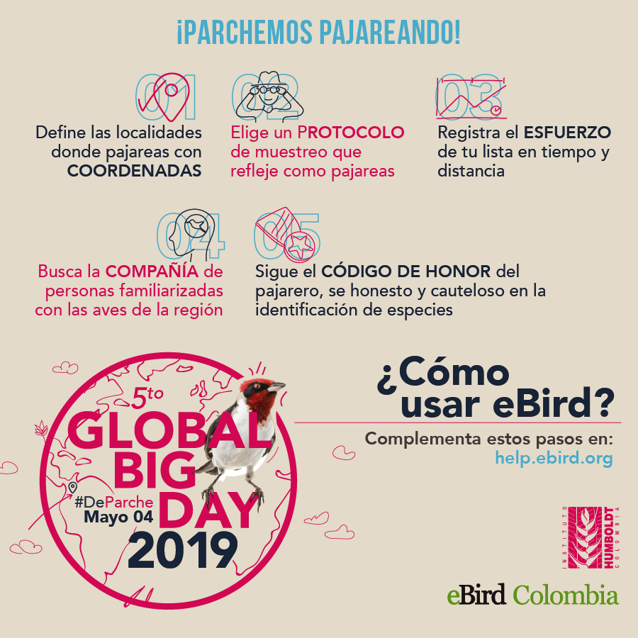 inst_humboldt's tweet photo. eBird te ayuda a registrar las aves que observas en cualquier momento, a la vez que aumenta el conocimiento sobre biodiversidad en el mundo. Sigue estos 5 pasos para usar mejor la herramienta este Global Big Day y ¡vámonos #DeParche! https://t.co/TsxO8PEWEK