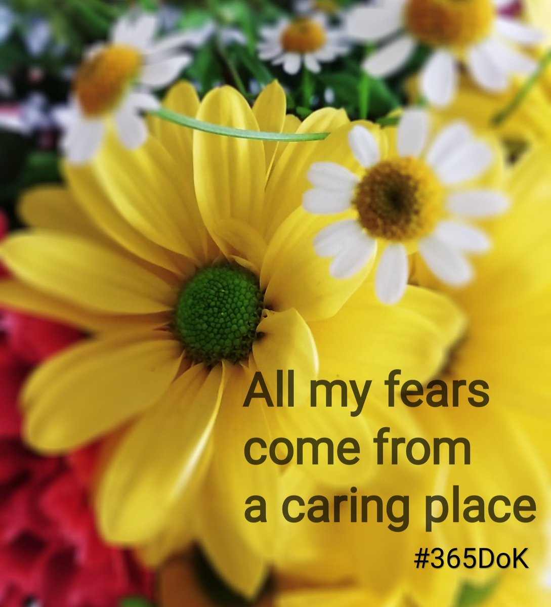 kind_knits's tweet photo. Day 26: All my fears come from a caring place...They're not just there to annoy me or to remind me how weak and vulnerable I am. They are there because they want to protect me, they care about me. 
#365DoK #KindnessMatters #Fears #Burnout 
https://t.co/hsfWZsv8dk https://t.co/v9B57gbKNk