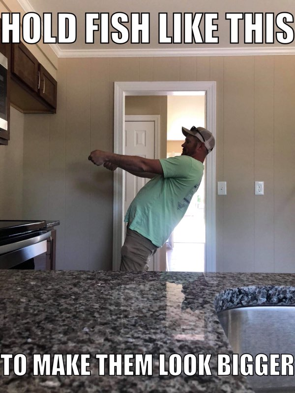 baitandwait's tweet photo. Shawn demonstrates how to hold fish for pictures
#memes #meme #fishing #angling #baitandwaitoutdoors #littlefish #bigfish #stretchthetruth #funny https://t.co/7MNJNPZRt5