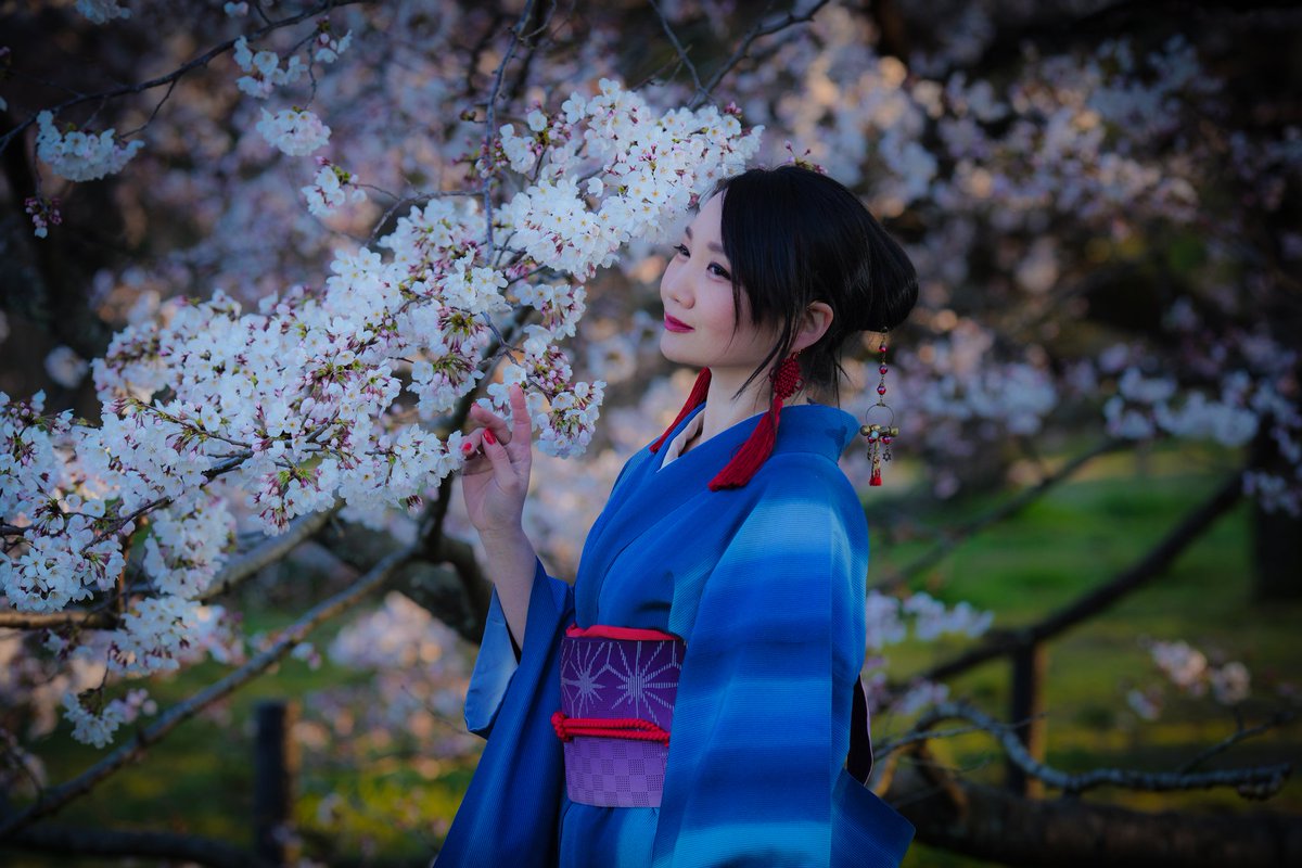 kanako_purple's tweet photo. #4月を写真4枚で振り返る

4月は桜さくら。
桜の時期が長かった。

5月には藤を。

photo:@Tom_shadow8080

#着物 #和服 #和装 #花 #桜 #さくら #japan #kimono #ポートレート https://t.co/LUz6pinro7