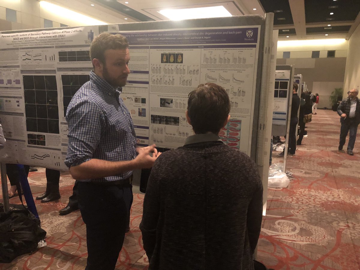 westernuPandP's tweet photo. Our students presenting at #LHRD19.  Great job everyone! https://t.co/xwAskrGv3a