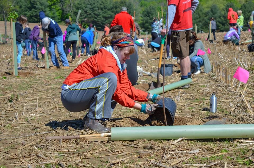 Nearly 80 volunteers came out Saturday to plant 800 trees to create a forested stream buffer along a Jones Falls tributary in Pikesville, MD. buff.ly/2J5AGac