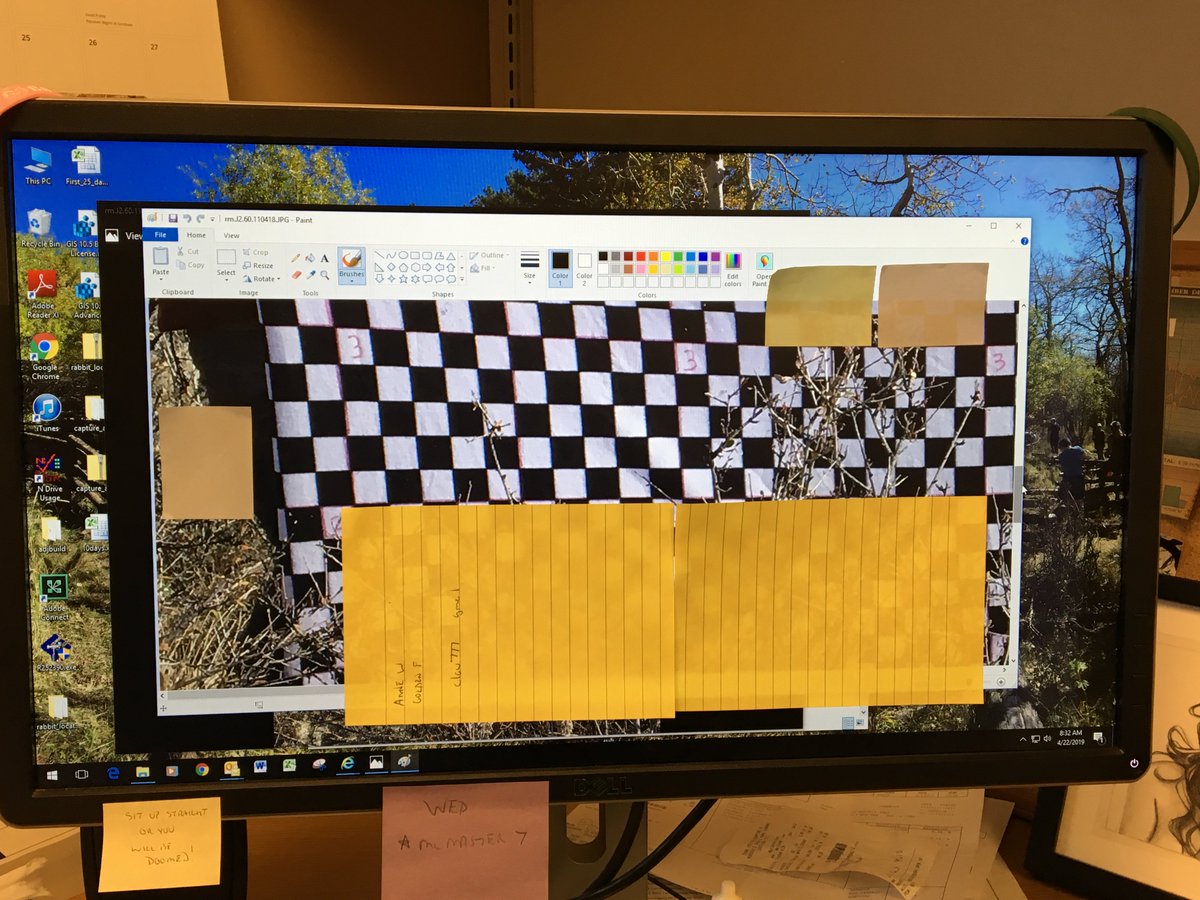 biologistdave3's tweet photo. I finished up summarizing the 2nd paired comparisons of 'Treatment' (elk browsing) vs. 'Control' (little/no elk use) areas. Counting squares for area (square feet) occupied by shrubs. I love the magic blanket and my volunteers! https://t.co/pvpDVhTc0d