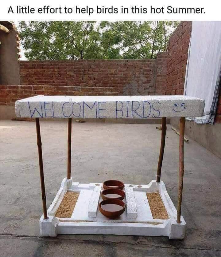 JamilAnwarAb's tweet photo. A Little Effort To Help Birds In This Hot Summer.
#WelcomeBirds https://t.co/PtCopT96iU
