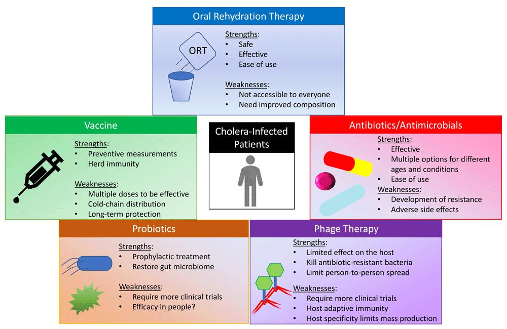 WatersLabMSU's tweet photo. New review by @hsuehbrian35 on @F1000Research titled "Combating Cholera" is published! Brian does an excellent job highlighting the different strategies to combat this disease. Many thanks to @JeffriesFreeway and Jyl Matson for excellent insight!

https://t.co/lcYJHeHVxv https://t.co/G9Fgjs48Ho