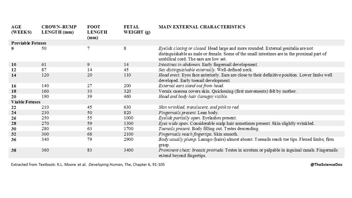 TheScienceDoc's tweet photo. Daily reminder that human fetuses are NOT inanimate clump of cells. They are very much alive developing unique human beings. Here's a table summarizing some of their key features, week by week: #Scienceisprolife #ProLife #Endabortion https://t.co/P6fJImrLnr