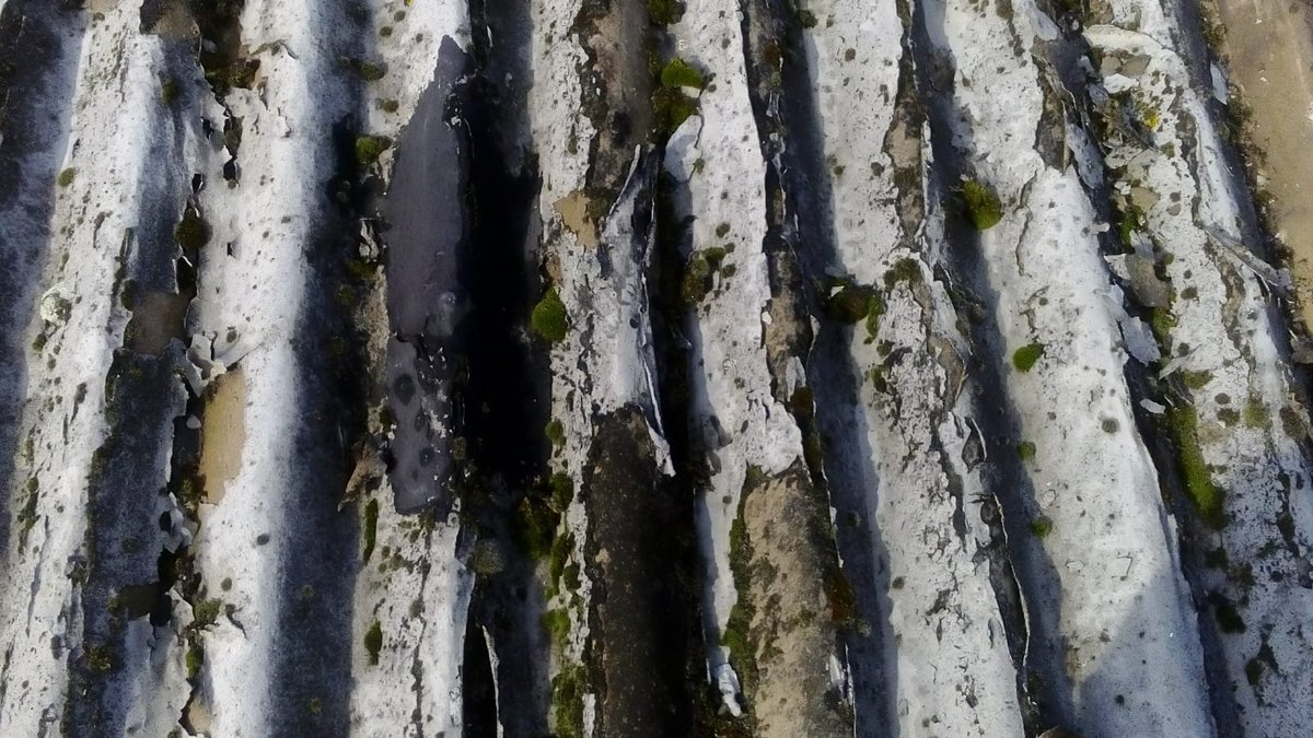 ASBESTOSAFE's tweet photo. Your roof? https://t.co/x04bLw4XXc