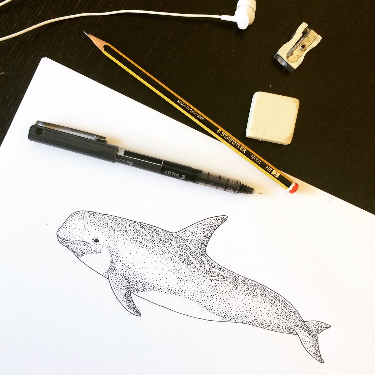 Submitted an abstract to <a href="/wmmc2019/">World Marine Mammal Conference</a> on our work on Risso’s dolphins in the Cabrera Archipelago National Park (Spain), the Mediterranean’s largest MPA #conservation #WMMC19 #cetaceans #Dolphins <a href="/EuroCetSoc/">European Cetacean Society</a> <a href="/marinemammalogy/">Marine Mammalogy</a>