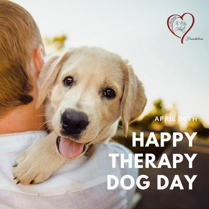 Let's celebrate all exceptional therapy animals who partner with their human companions to bring comfort and healing to those in need 🐶 ❤️
#NationalTherapyDogDay #TherapyDog #DogsofTwittter