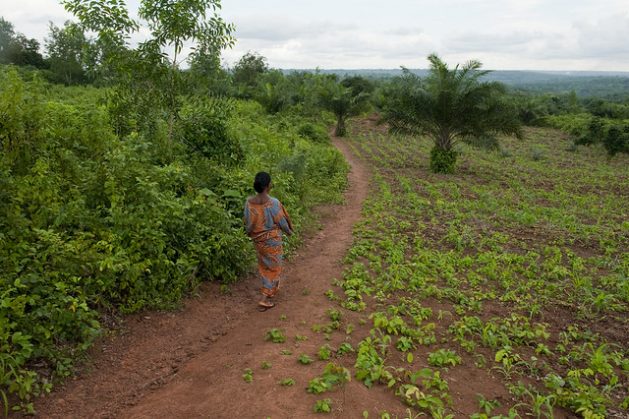 Benin’s Agriculture Has a Good Season, But it Wasn’t Easy - Read more: bit.ly/2PIOAQQ