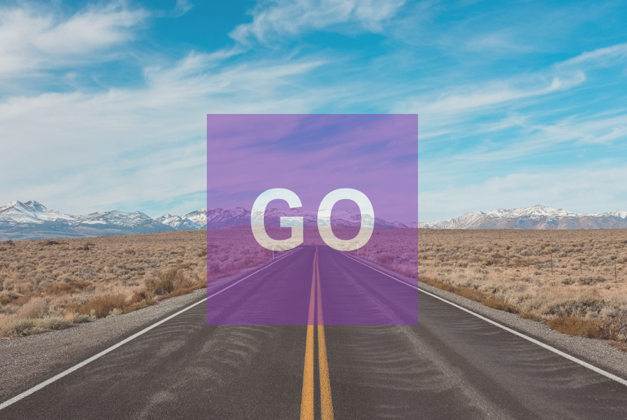 Purple Go tweet media