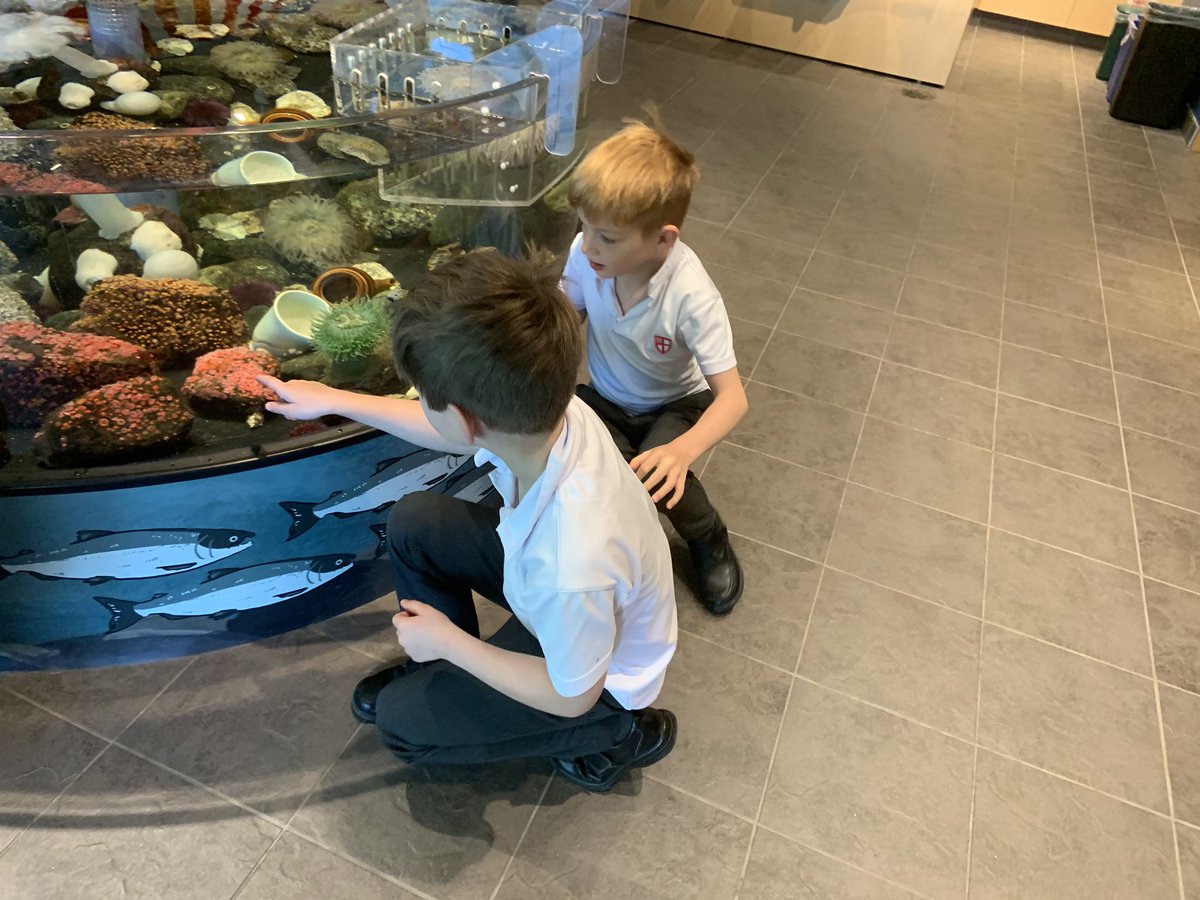 Yesterday releasing salmon and today <a href="/vanaqua/">Vancouver Aquarium</a>. Grade 2 <a href="/SaintsBC/">St. George's School</a> is learning about life cycles and biological adaptations through #ExperientialEd @StephenSturgeo7 <a href="/_KarynRoberts_/">Karyn Roberts</a>