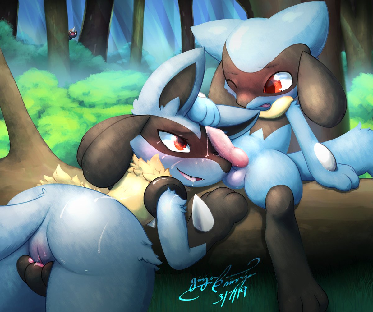 Just a Lucario trying to raise a Riolu's happiness to help him evolve....