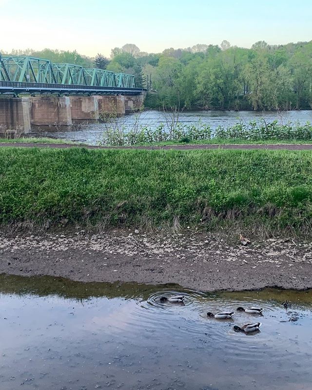 DRTLocal's tweet photo. Beautiful #riverviews from @centrebrginn 🦆
#delawarerivetownslocal #drtlocal #delawareriver https://t.co/FIW8Xfmddk