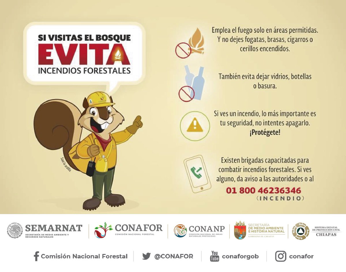 Los Incendios Forestales tienen muchas repercusiones en el medio ambiente, ayúdanos a prevenirlos. Si detectas un incendio forestal repórtalo al 911. #PrevenirEsMejorQueCombatir #SEMAHN