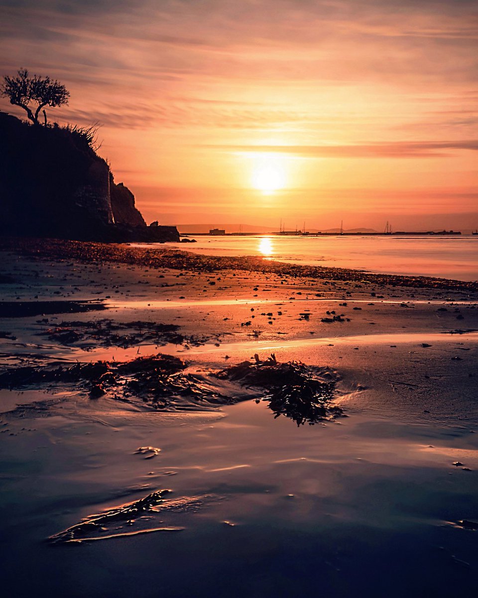 Another shot from Sunday morning at Sandsfoot Beach / Castle Cove. I like the shallow pool of water in the foreground on this one.
#weymouth #dorset #weymouthphotography #weymouthphotographer #dorsetphotographer #dorsetphotography #jurassiccoast #sunrise #sunrisephotography
