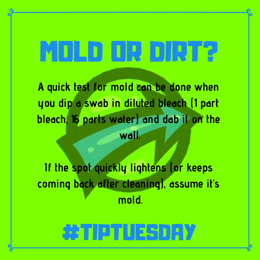How to recognize if it's a mold or a dirt? :)
.
.
.
.
#mold #dirt #moldremediation #tiptuesday #tips