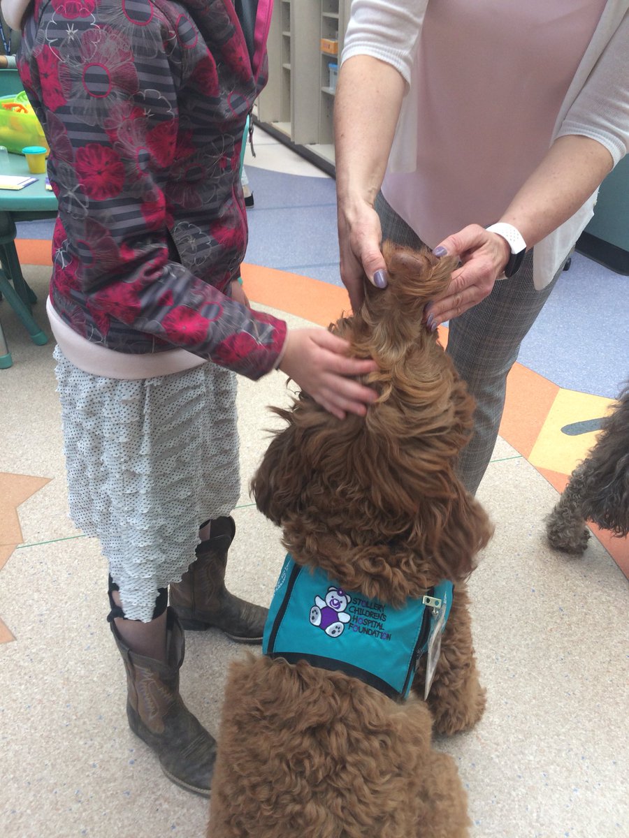 Amazing animals sure do some amazing good! It’s #NationalTherapyAnimalDay and we invited Stollery Pet Therapy dogs and handlers to The Beach to meet @StolleryKids and families. Our thanks to our many donors like @PetSmart who make this special program possible. @AHS_YEGZone