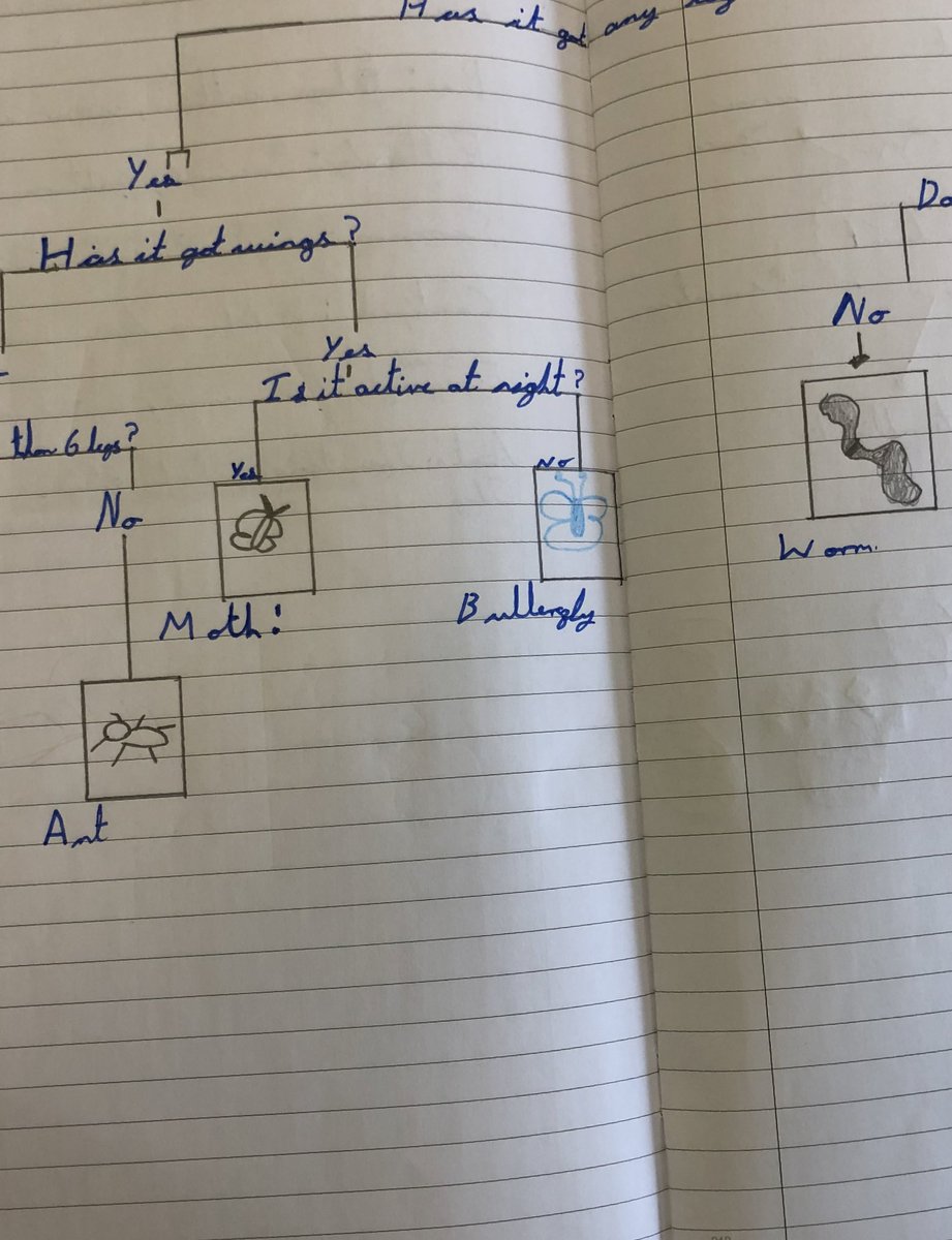 CORENansen's tweet photo. What’s it really like to begin a new project? Year 5 began to explore mini beasts today and decided they needed to categorise them. #COREexcellence #DACE19 https://t.co/JvWXDBKuEb