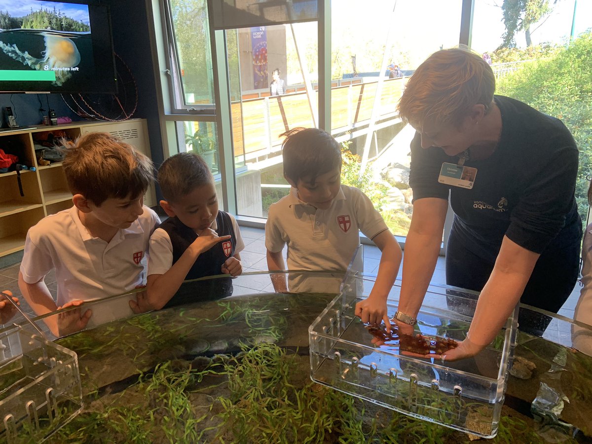 Grade 2 <a href="/SaintsBC/">St. George's School</a> students learn about science and Core Values at the same time. We’re learning about #empathy <a href="/vanaqua/">Vancouver Aquarium</a> by only using our pinky fingers when interacting with the sea creatures. @StephenSturgeo7 <a href="/_KarynRoberts_/">Karyn Roberts</a>