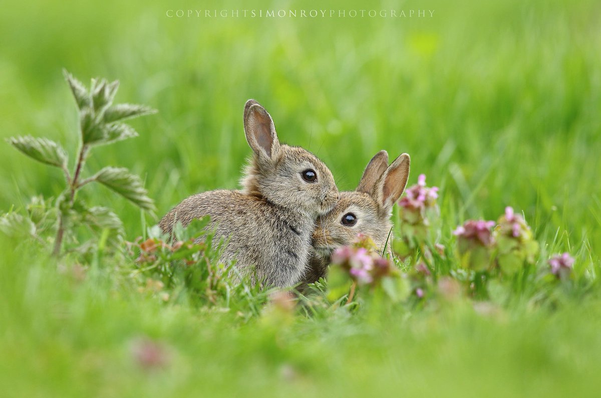 If you go fast, go alone.
If you go far, go together.

- African Proverb